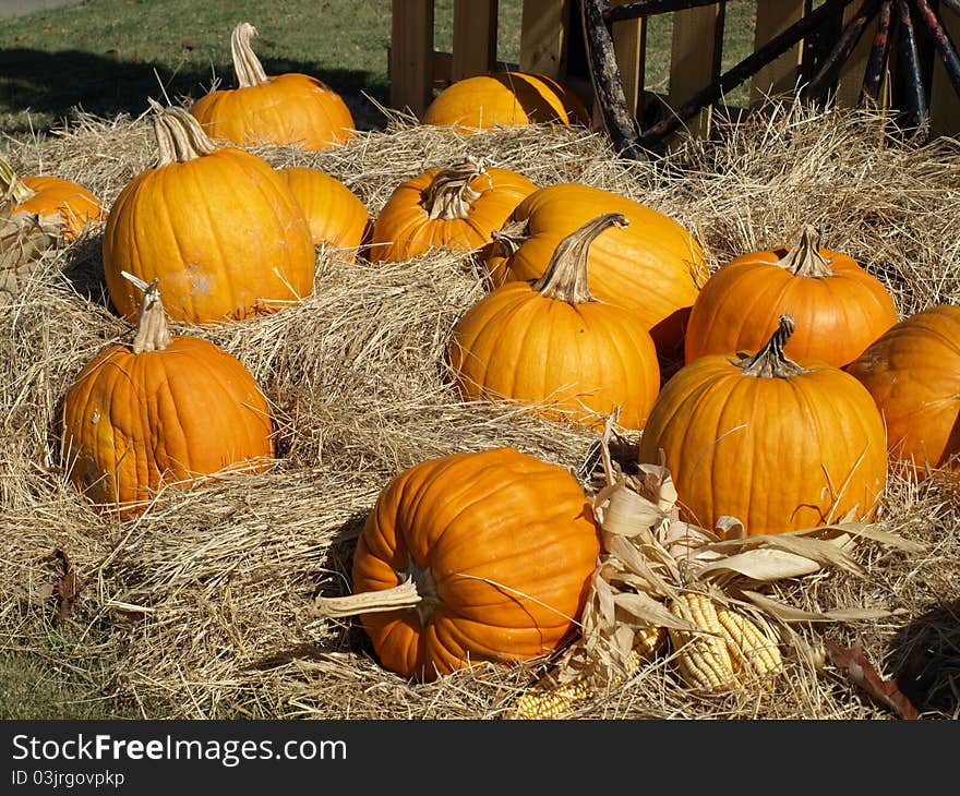 PUMPKINS ON HAY