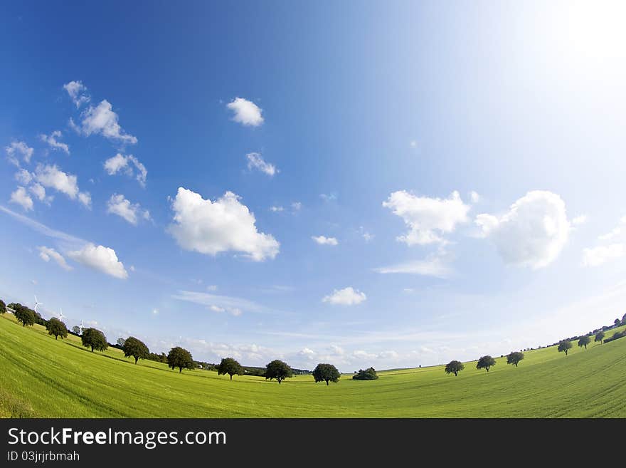 Landscape in summertime