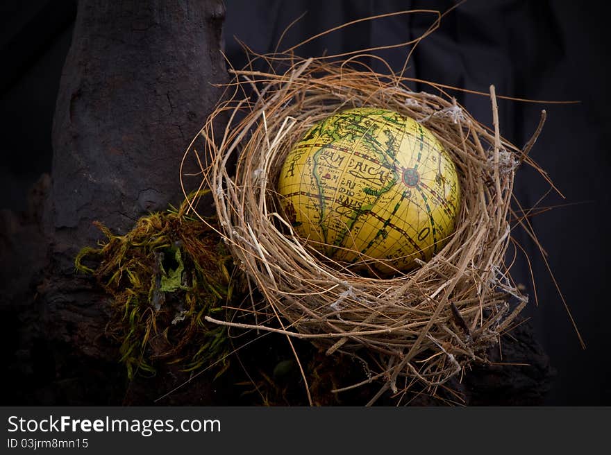 Birds nest with global inside.