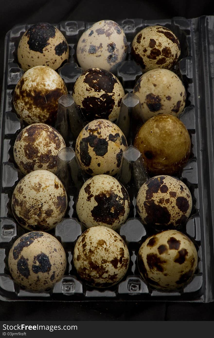 Fifteen of quail eggs in plastic pack, on black background.