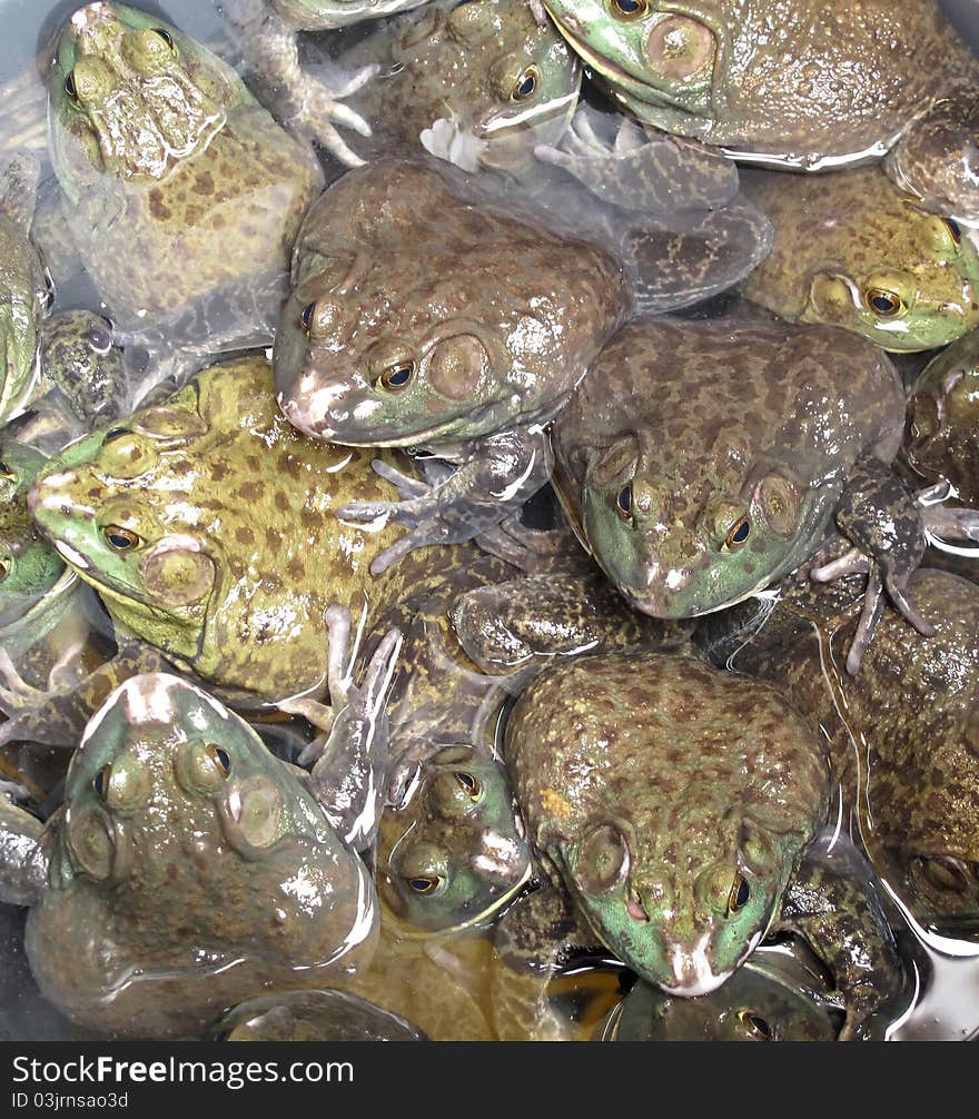 Frog Pile-Up