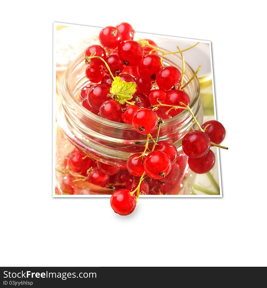 Red Currants