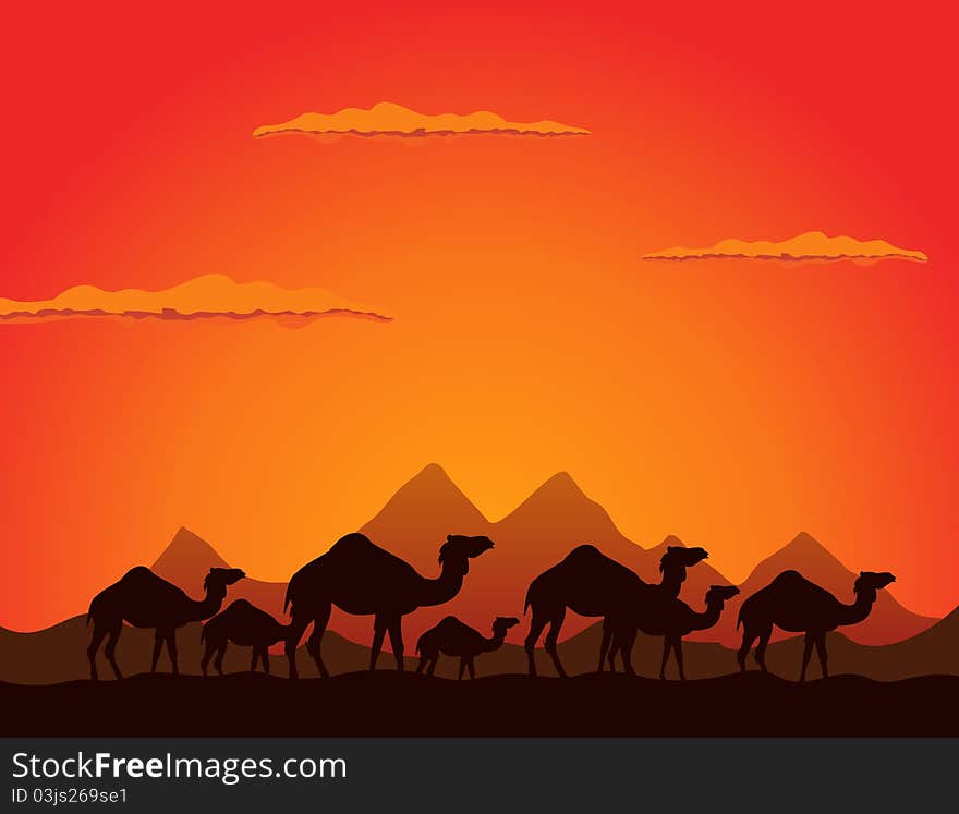 Caravan of camels go on deserts. A vector illustration