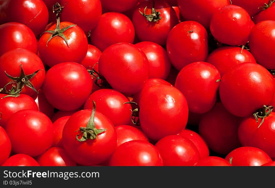 Multitude of tomatoes