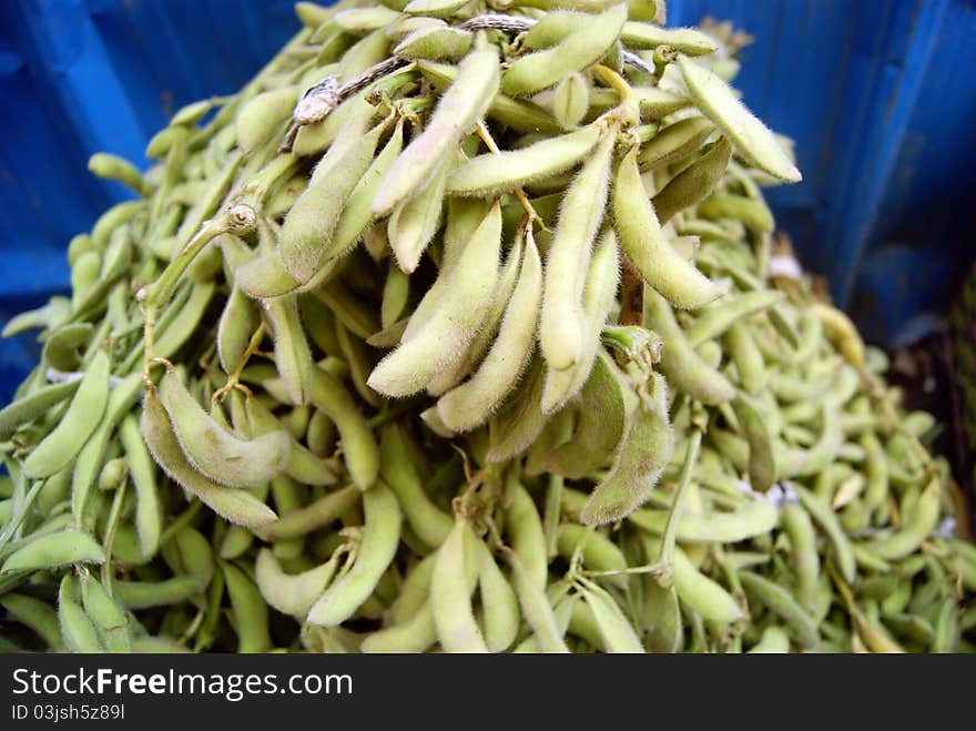 This string beans, piling up together, sale. It is people like to eat vegetables one.