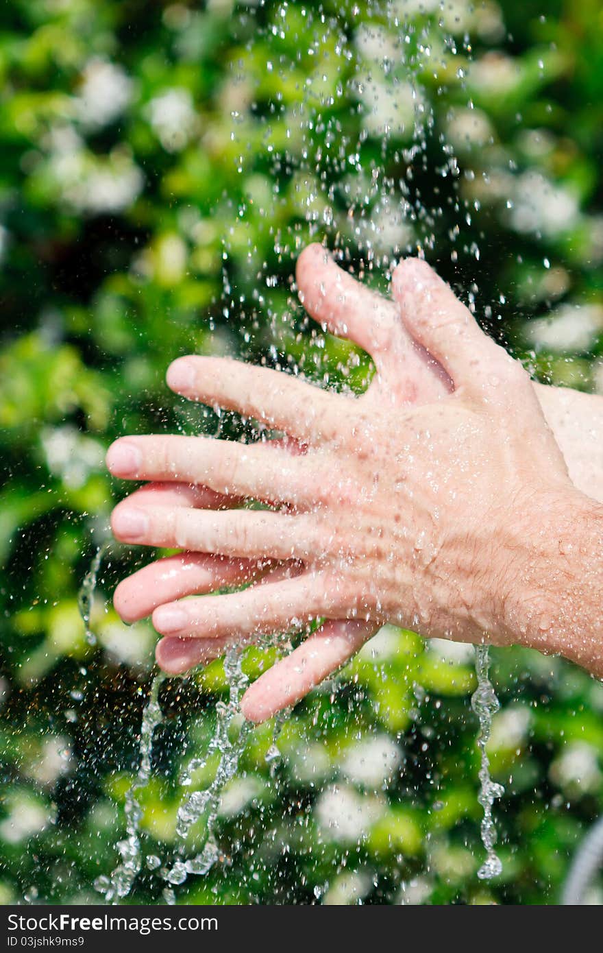 Washing hands under falling water on a green background. Washing hands under falling water on a green background