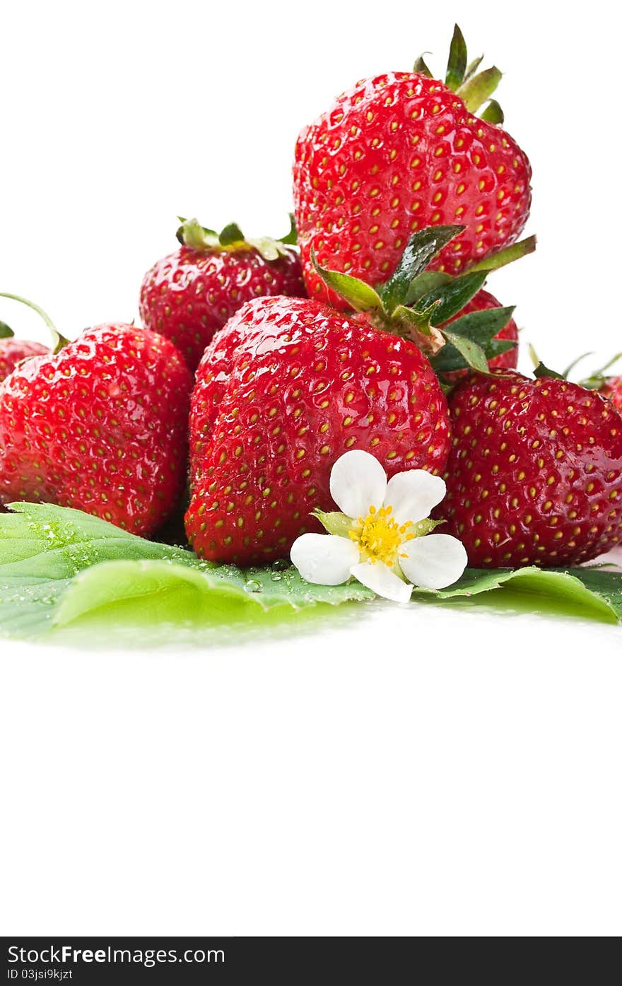 Fresh strawberry on a green leaf isolated on a white background