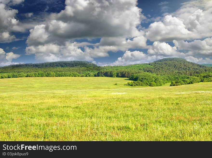 Big green meadow. Nature composition.