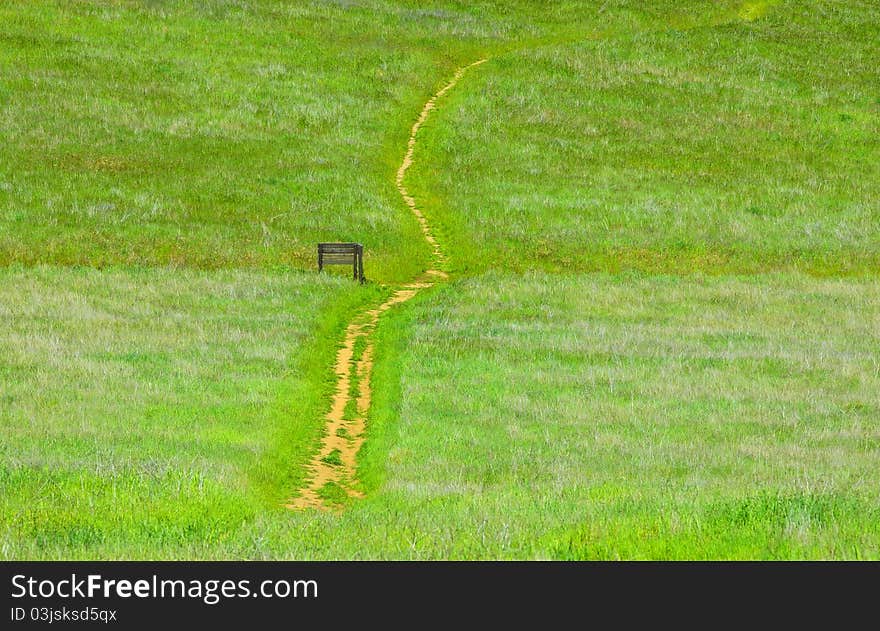 Path in a green grass field. Path in a green grass field