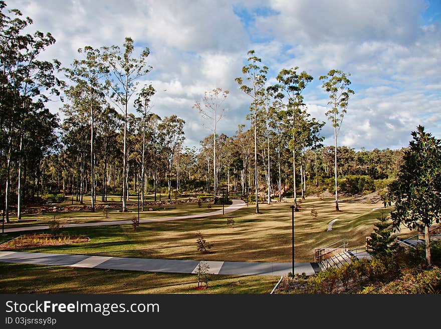 A native parkland in Queensland, Australia with walkways meandering through strands of Eucalyptus trees. A native parkland in Queensland, Australia with walkways meandering through strands of Eucalyptus trees