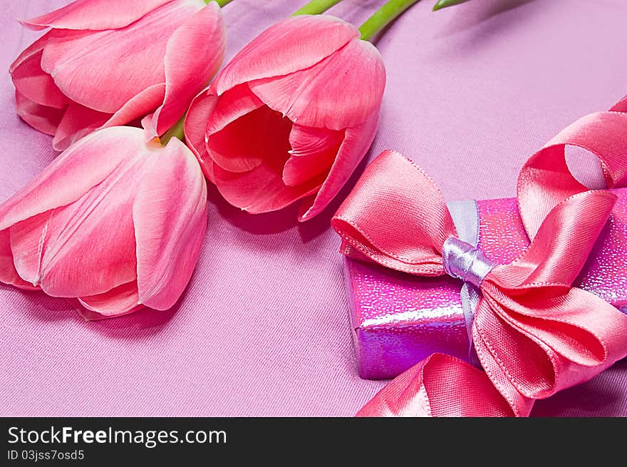 Tulips and gift box with ribbon on pink