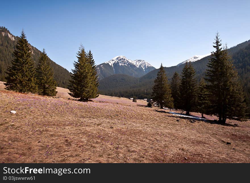 Beautiful view of  glade with majestic mountain in the background. Tatra Mountains, Poland. Beautiful view of  glade with majestic mountain in the background. Tatra Mountains, Poland.