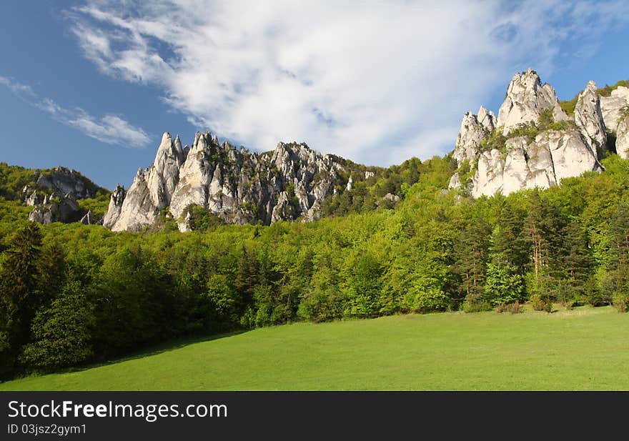 Climbing rock in green landscape