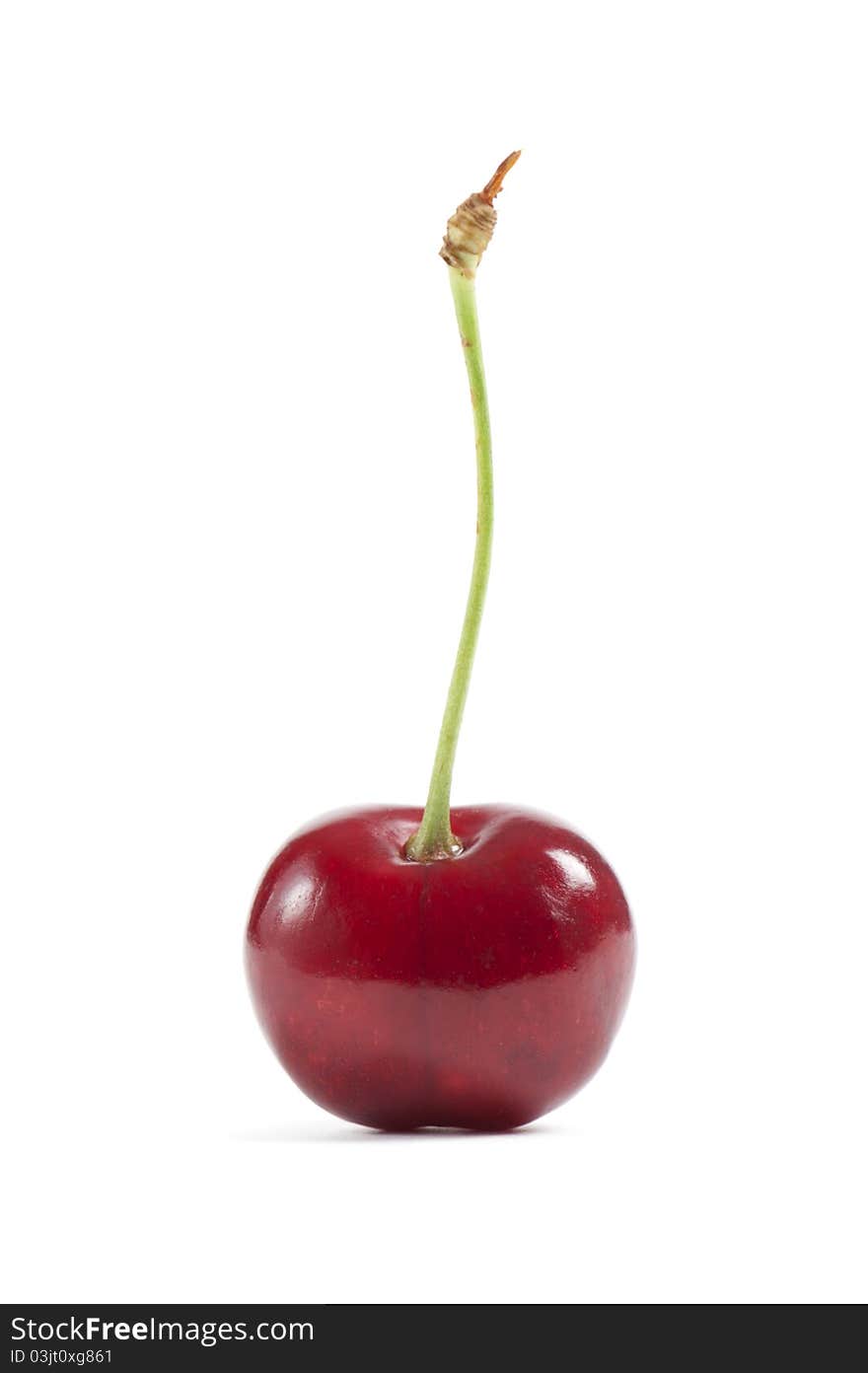 Single cherry, isolated on white