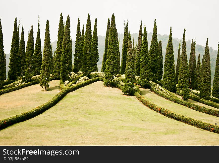 Trees, beautiful scenery and clean. Trees, beautiful scenery and clean.