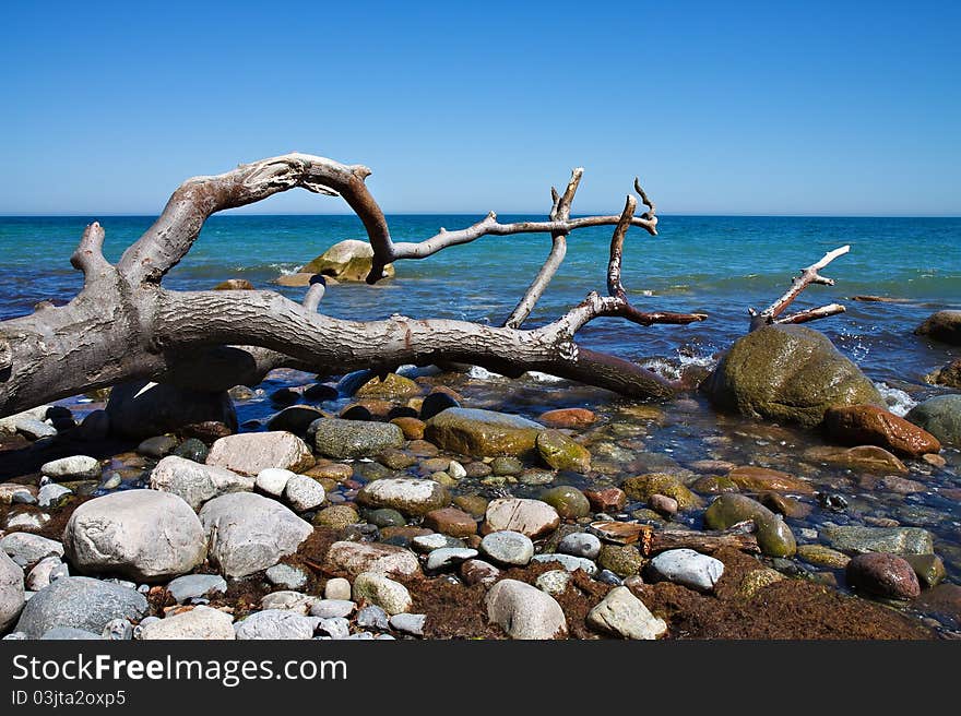 On shore of the Baltic Sea on the island Ruegen (Germany).