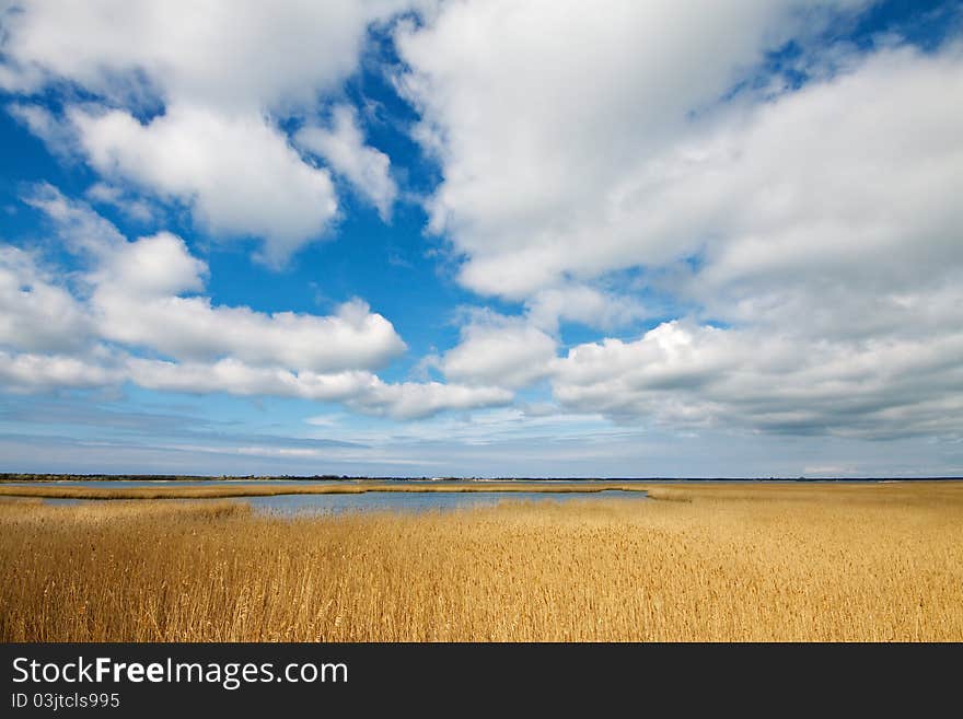 Landscape on a lake in Germany.