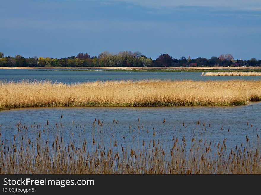 Landscape on a lake in Germany.