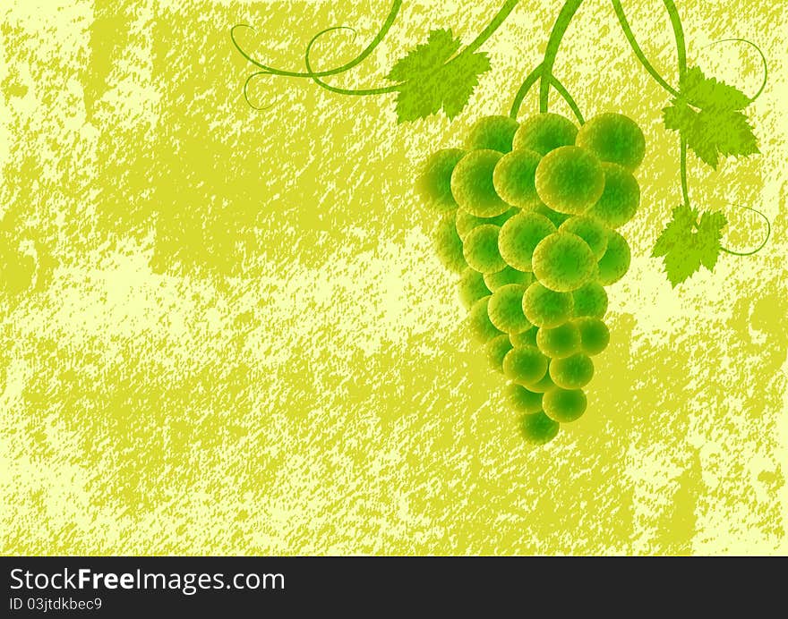 Grape on green background