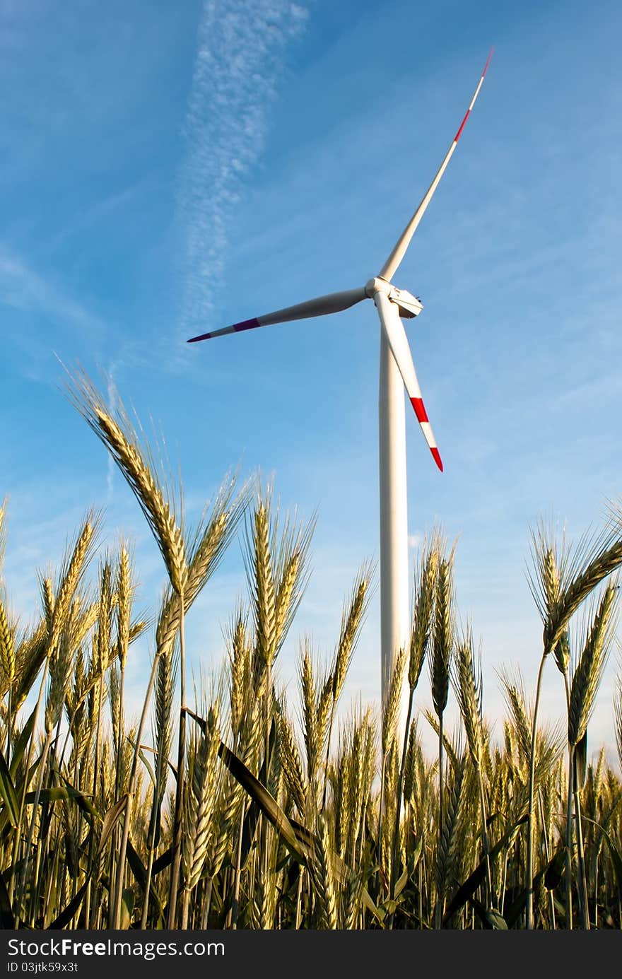 A wind turbine in the grain-field in front of blue sky. A wind turbine in the grain-field in front of blue sky