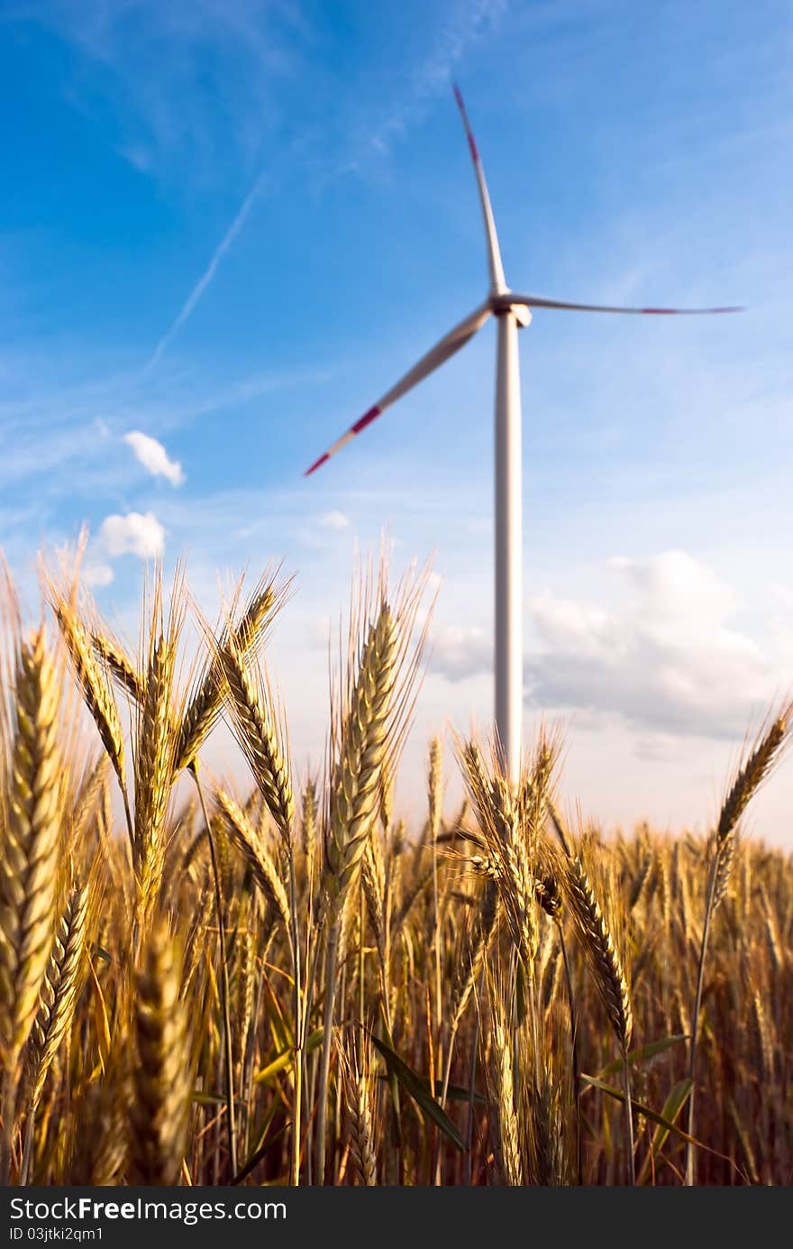 A wind turbine in the grain-field in front of blue sky. A wind turbine in the grain-field in front of blue sky