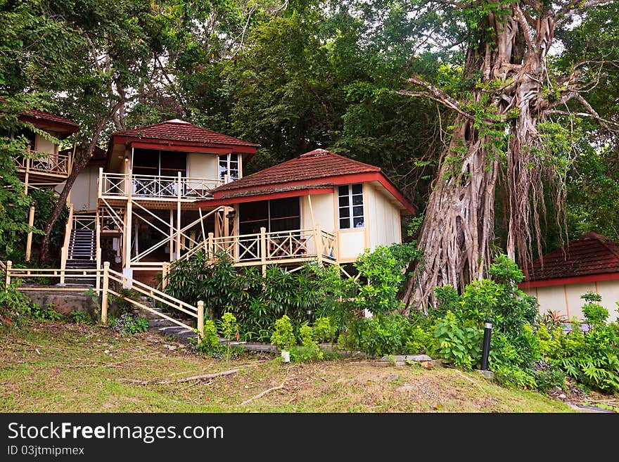 Lodge cabins on a hill