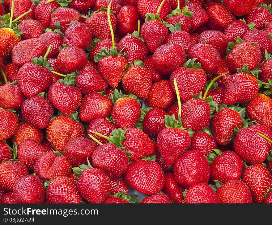 Large assortment of fresh strawberries with stems attached. Large assortment of fresh strawberries with stems attached