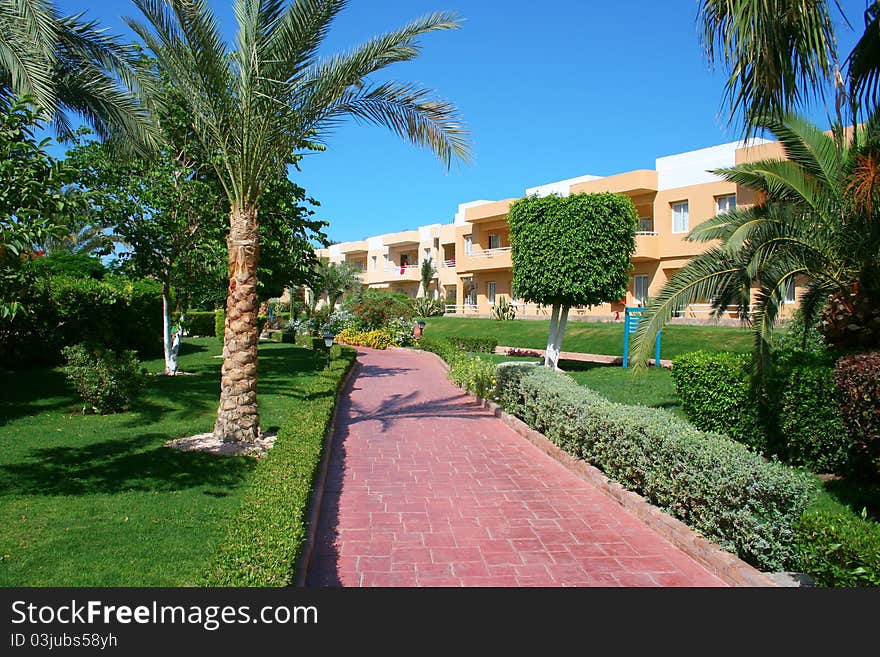 Beautiful green territory of Egyptian hotel. Beautiful green territory of Egyptian hotel