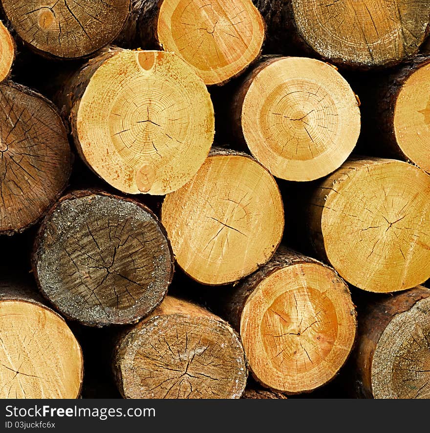 Wood Logs Background