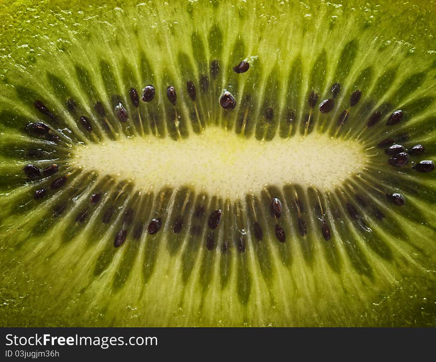 Kiwi Closeup Background