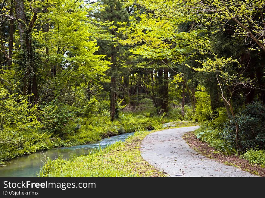 Picture of a river in the park of Namerikawa, Japan. Picture of a river in the park of Namerikawa, Japan