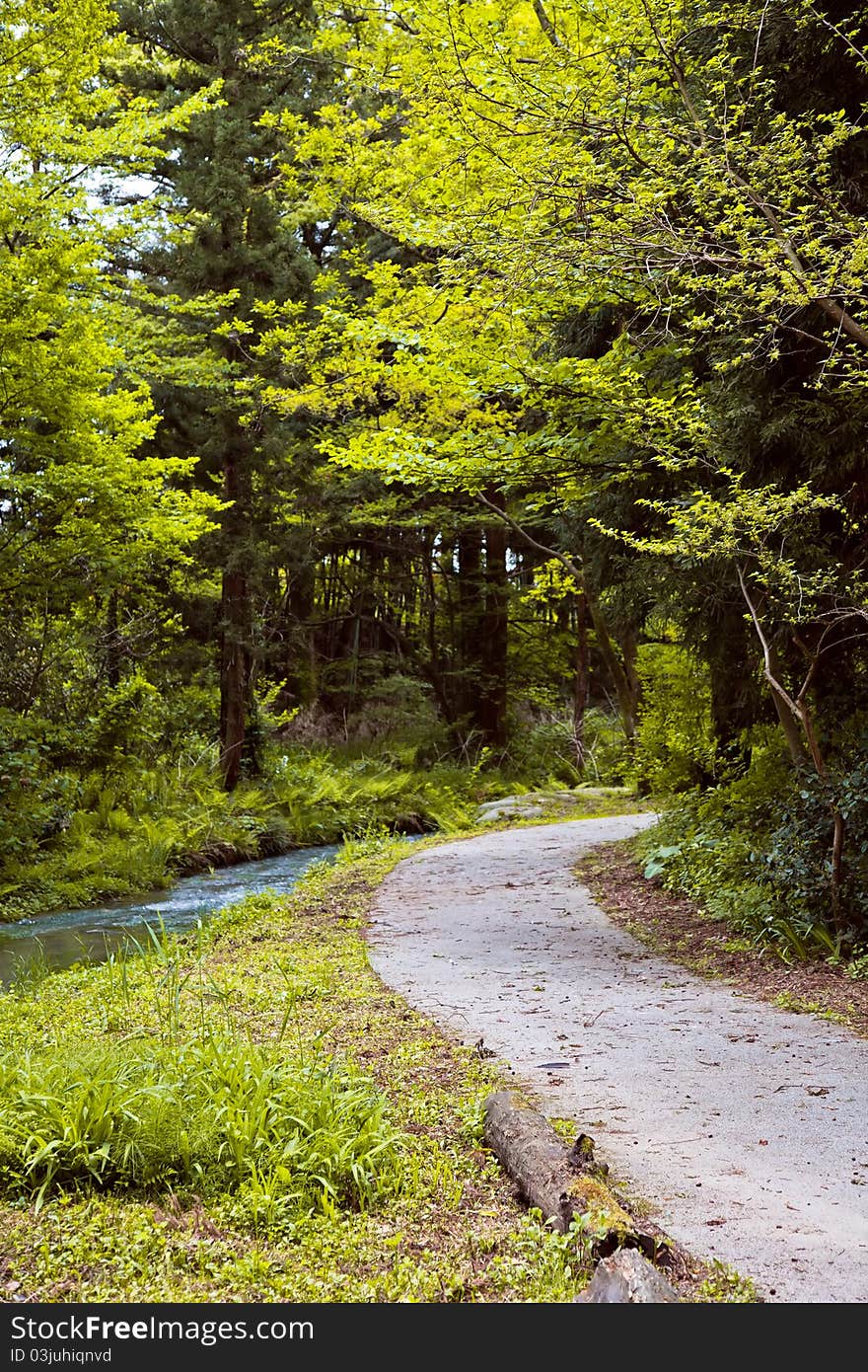 Picture of a river in the park of Namerikawa, Japan. Picture of a river in the park of Namerikawa, Japan