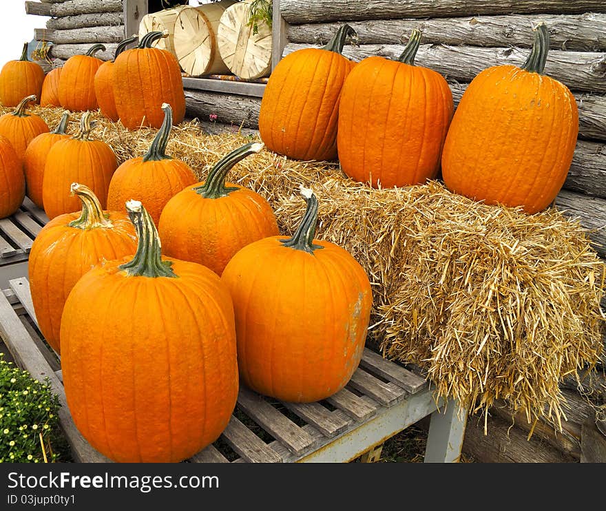 Pumpkins displayed on straw bales