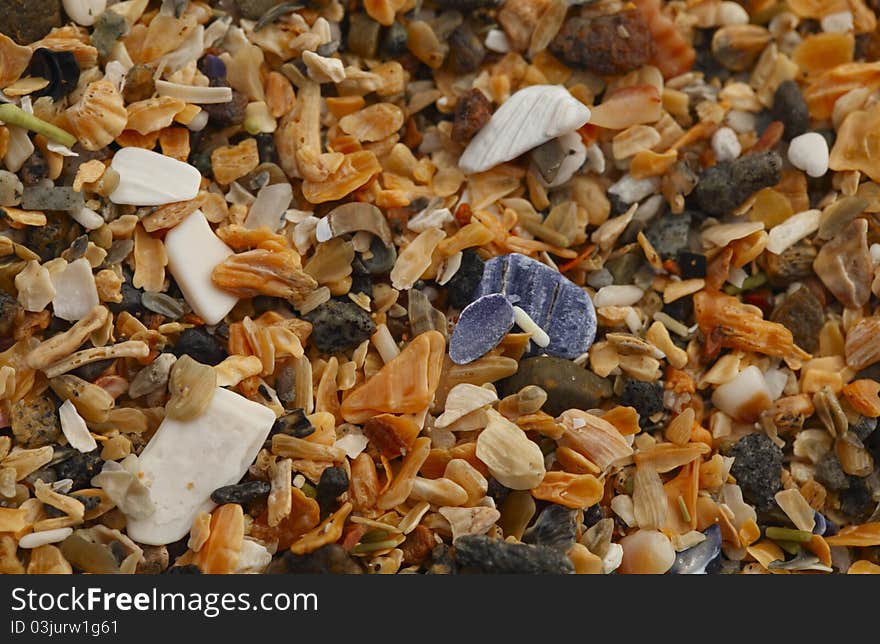 A macro of shell particles at the Sand Beach in Acadia National Park, Maine, United States. A macro of shell particles at the Sand Beach in Acadia National Park, Maine, United States.