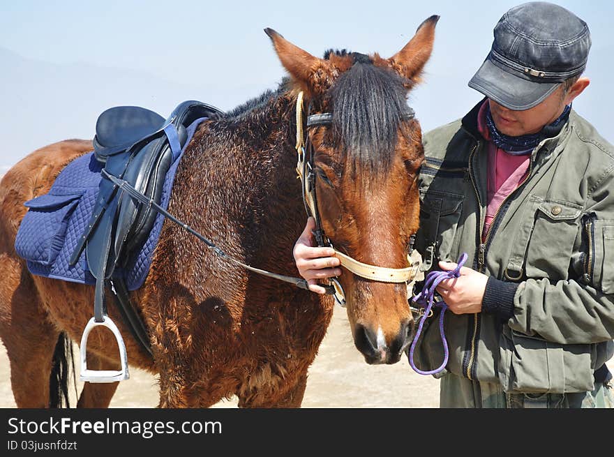 Rider and horse