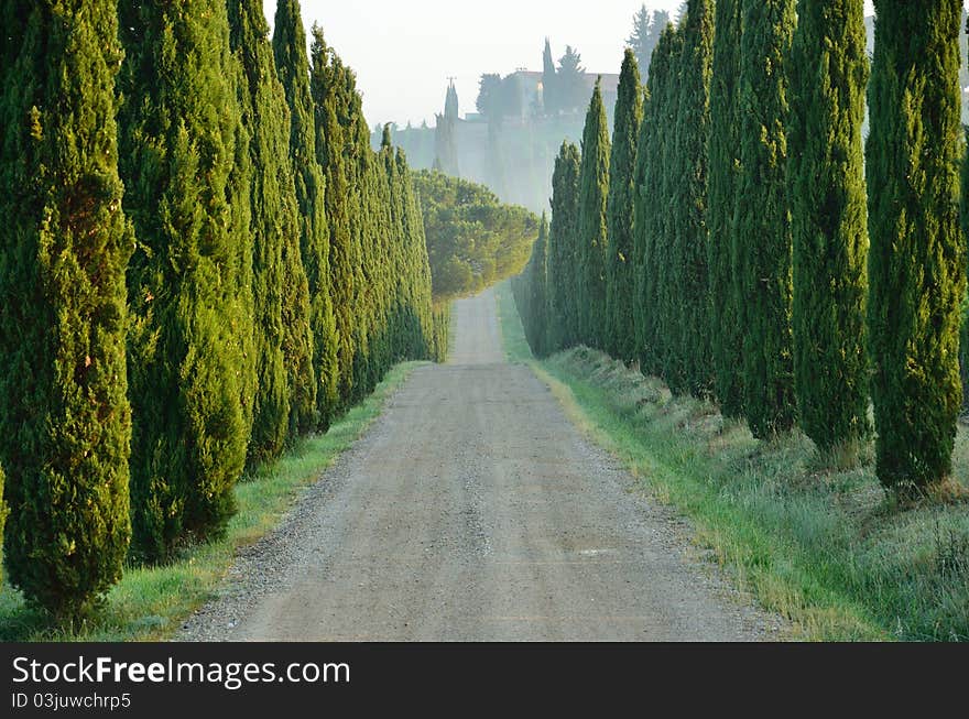 Wooded path