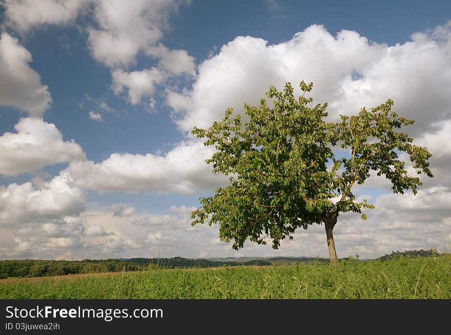 A country landscape in the tuscan country. A country landscape in the tuscan country