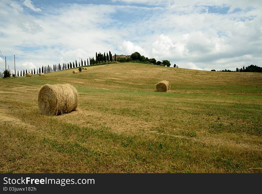 A country landscape in the tuscan country. A country landscape in the tuscan country