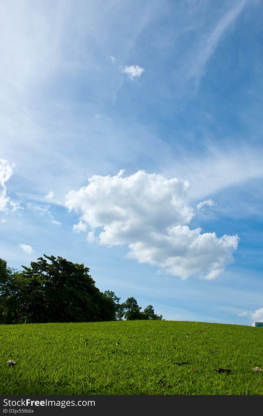 Grass field and blue sky