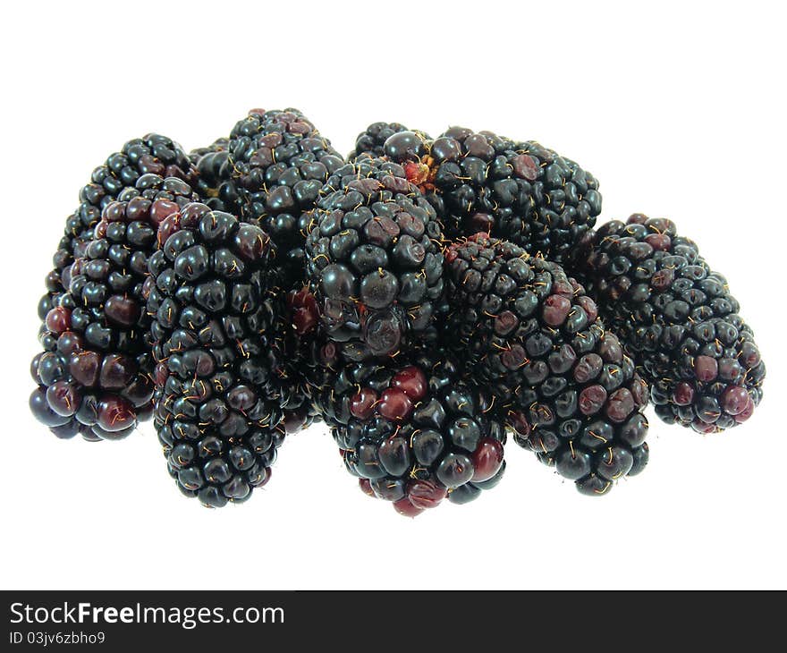 Blackberries on a white background