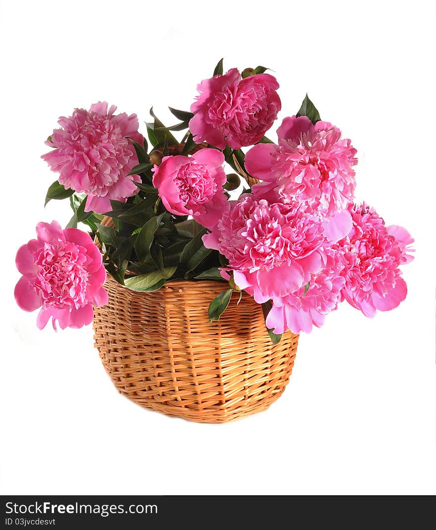 Peonies in a basket stand on a table. Peonies in a basket stand on a table