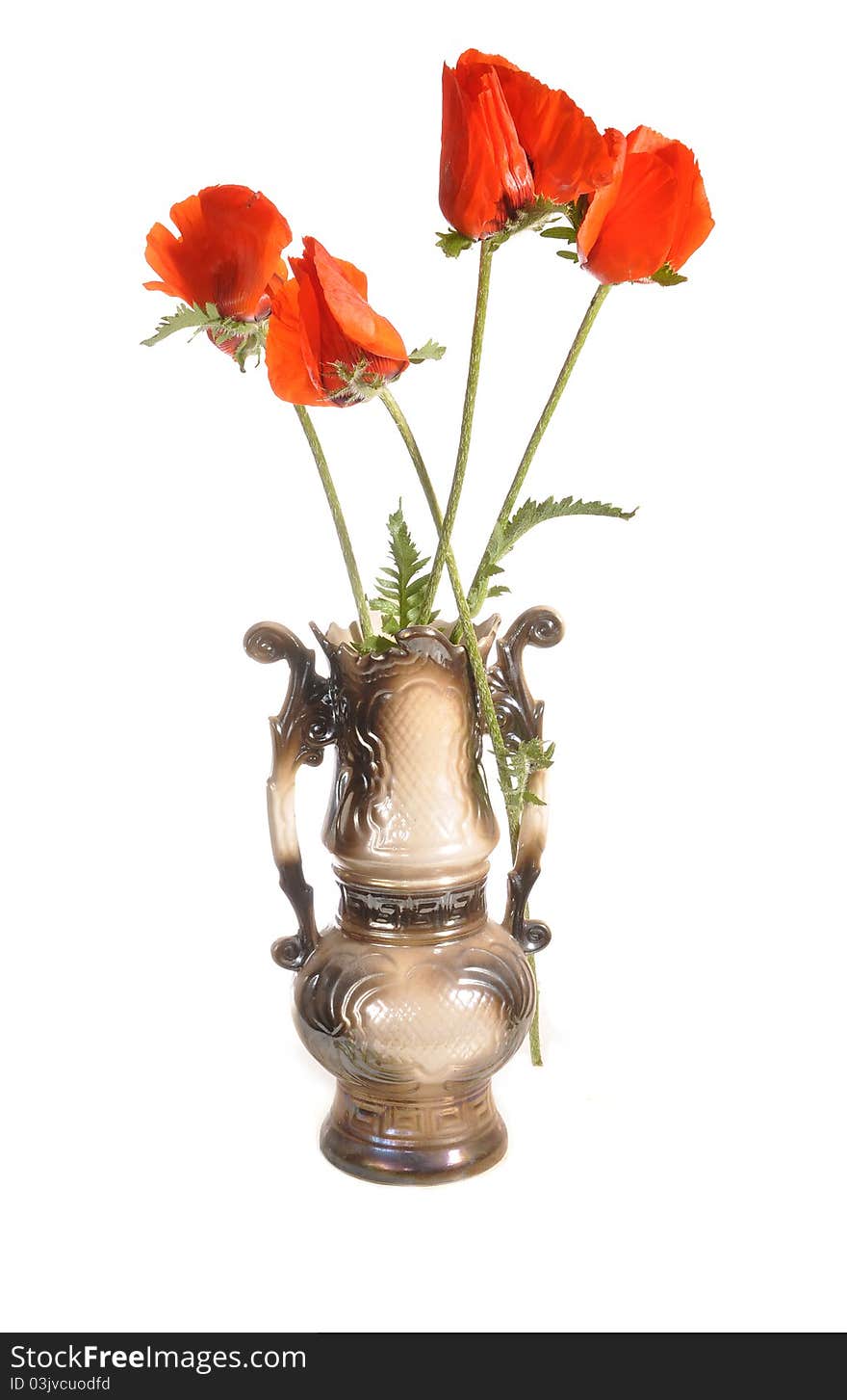 Poppies in a vase