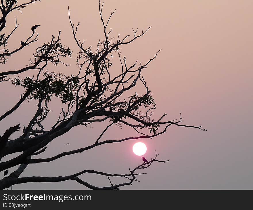 Sunset at Kerala