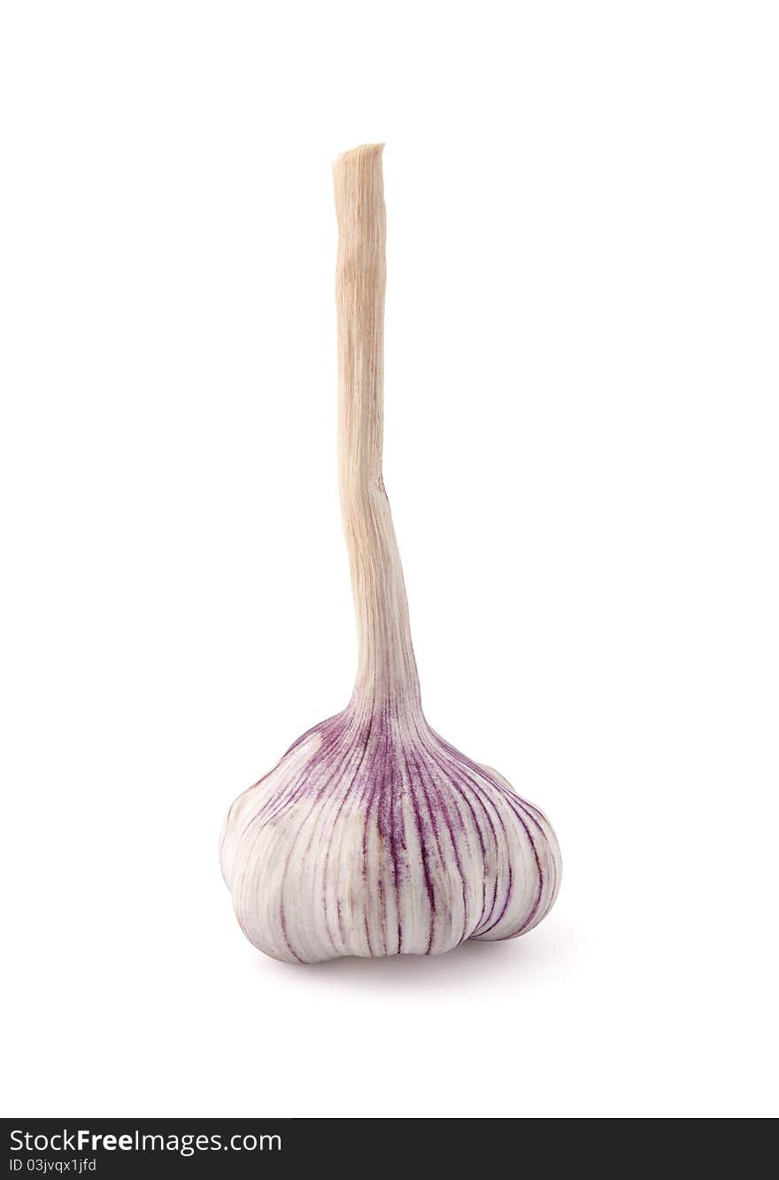 Garlic With Clipping Path