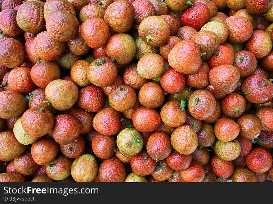 Many mature litchi