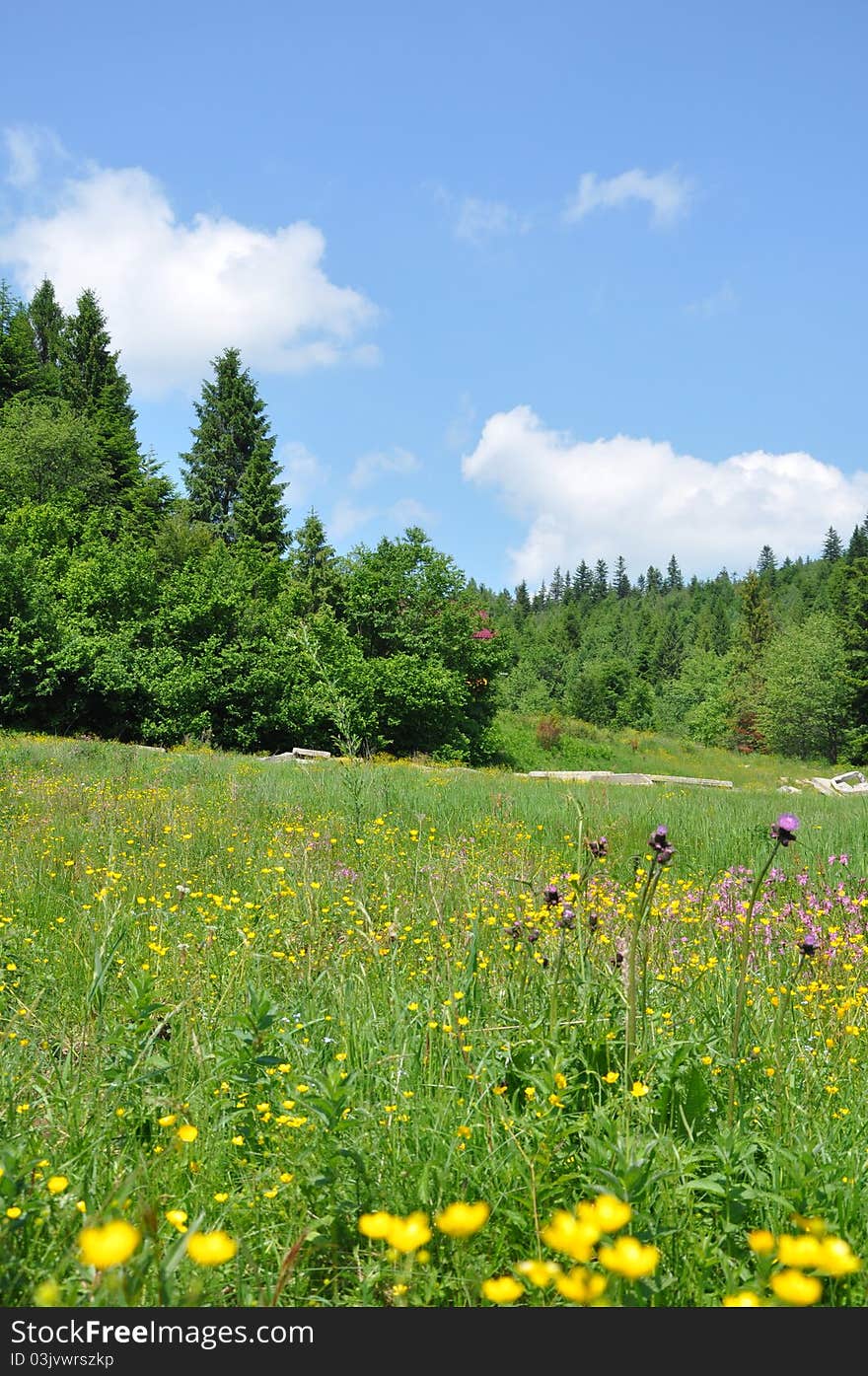 Carpathian mountains