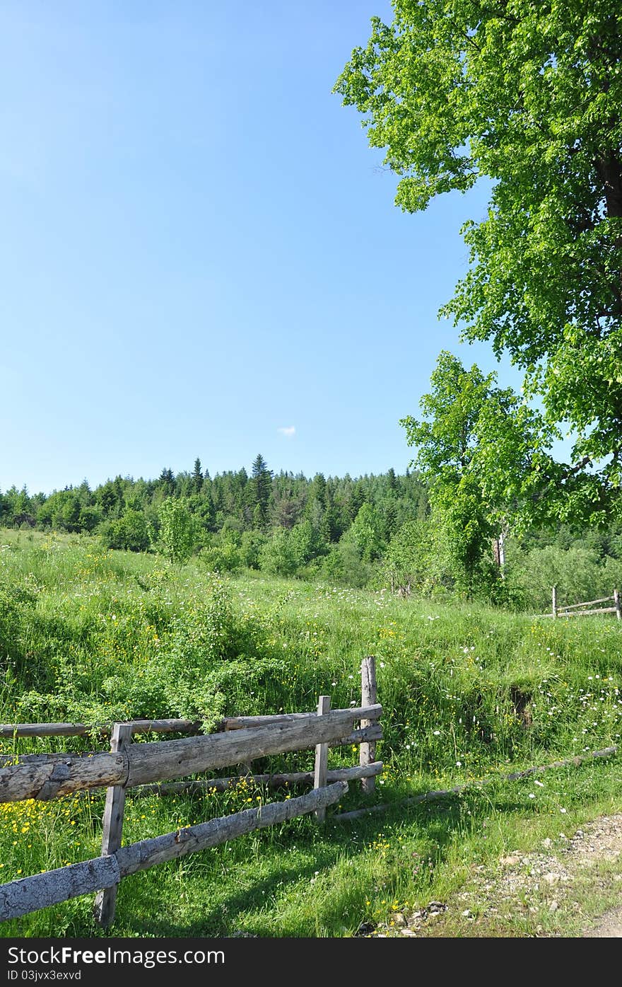 Nature in Carpathian mountains