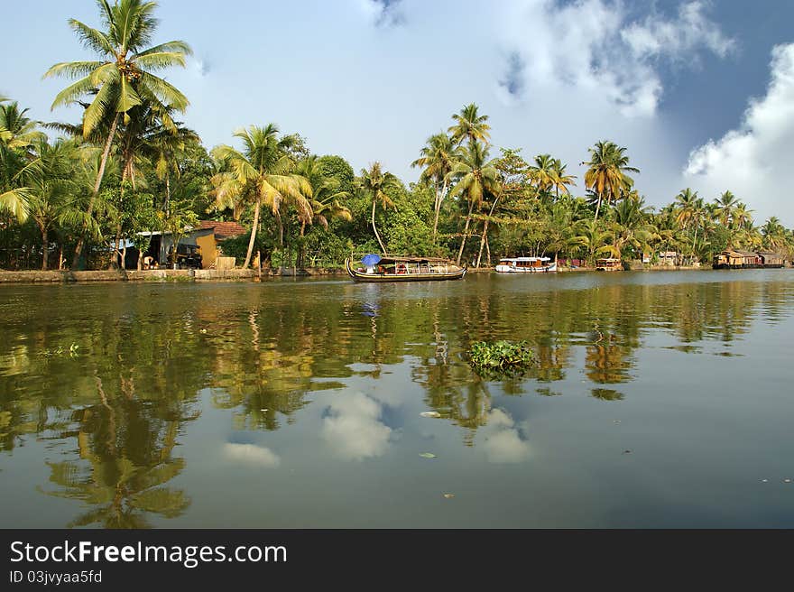 Coconut palms on the shore of the lake. Kerala, South India