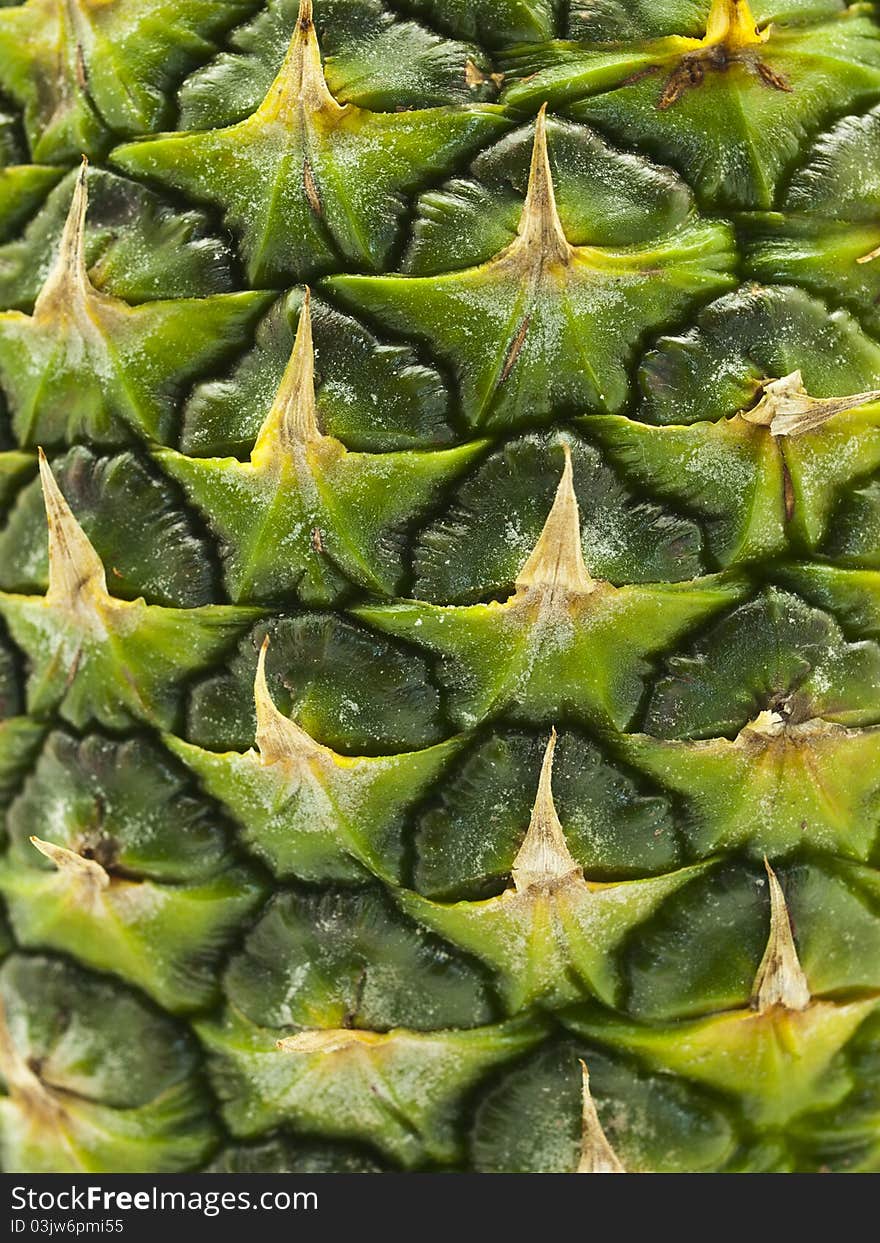 Pineapple Peel Background with high detail