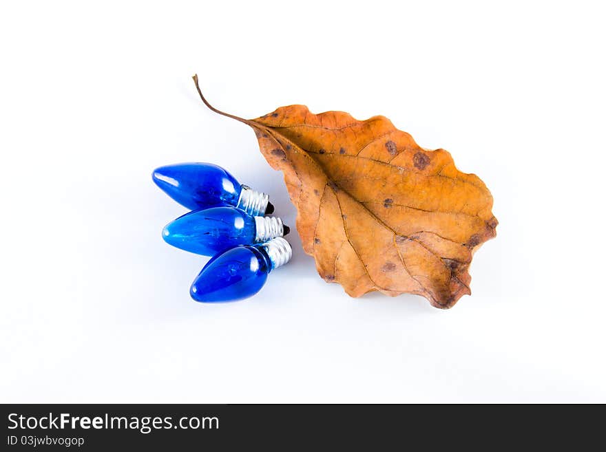 Three light bulbs and a withered leaf (isolated on white), concept of energy and nature. Three light bulbs and a withered leaf (isolated on white), concept of energy and nature.